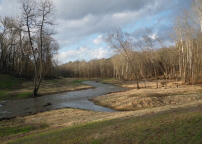 Buckhorn Dam Removal & Channel Restoration